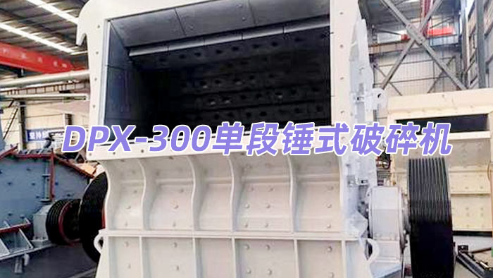 DPX-300�ζ��Nʽ����C(j��)