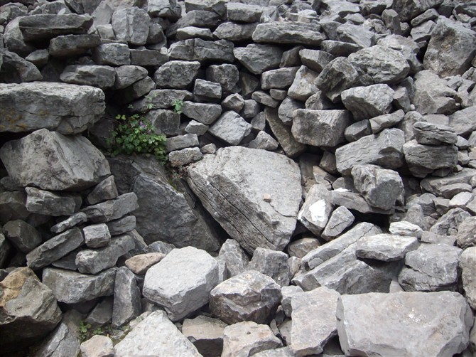 ����r